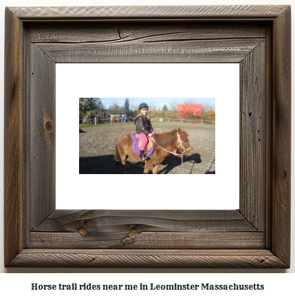 horse trail rides near me in Leominster, Massachusetts